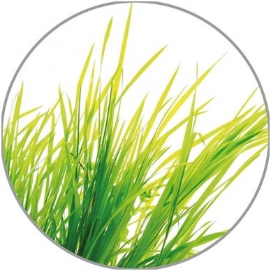Medisana citrinžolių eterinis aliejus, 10 ml 1 Medisana citrinžolių eterinis aliejus, 10 ml 1