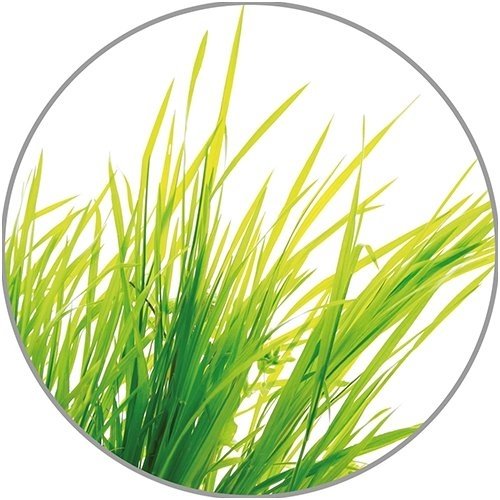 Medisana citrinžolių eterinis aliejus, 10 ml 1 Medisana citrinžolių eterinis aliejus, 10 ml 1