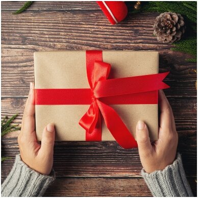 Kalėdų Belaukiant: 7 dovanų idėjos, kurios tiks visiems